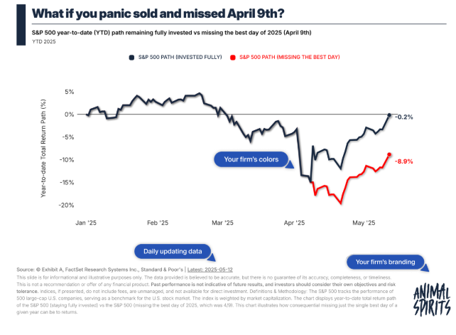 Winners & Losers From the Stock Market Rally
