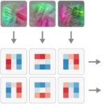 Naturally Occurring Equivariance in Neural Networks