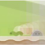 Understanding RL Vision
