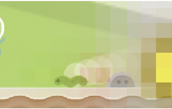 Understanding RL Vision