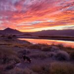 Links 6/21/2025