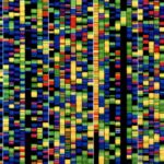 The Download: Google DeepMind’s DNA AI, and heatwaves’ impact on the grid