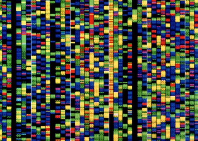 The Download: Google DeepMind’s DNA AI, and heatwaves’ impact on the grid