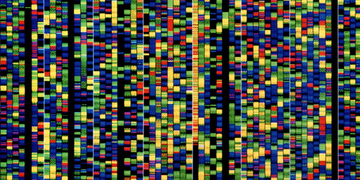 The Download: Google DeepMind’s DNA AI, and heatwaves’ impact on the grid