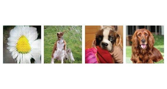 Open Questions about Generative Adversarial Networks