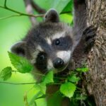 Links 8/17/2025