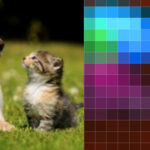 The Building Blocks of Interpretability