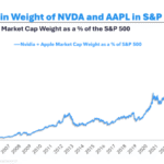 Animal Spirits: A Mania is Brewing