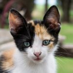 Links 10/5/2025