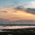 Rainfall Buries a Mega-Airport in Mexico