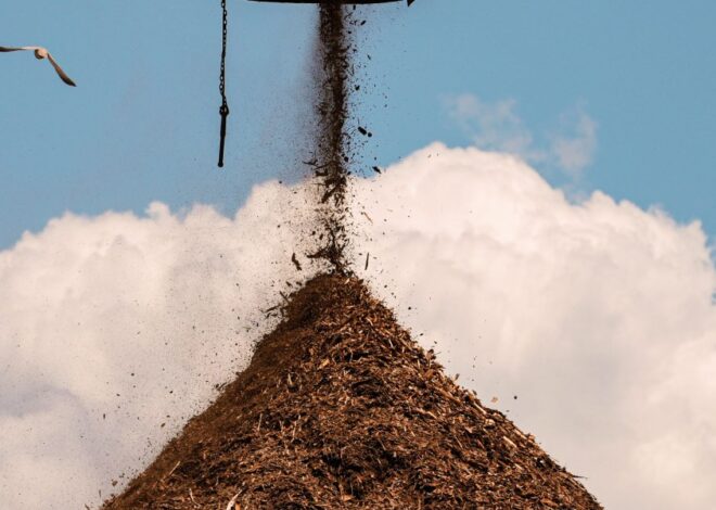 The Download: Big Tech’s carbon removals plans, and the next wave of nuclear reactors