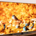 LG G5 OLED TV review: taking OLED performance to another level