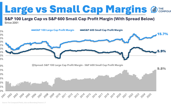 Animal Spirits: The Best Performing Stocks of 2025