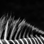 Juventus owner rejects acquisition offer from Tether