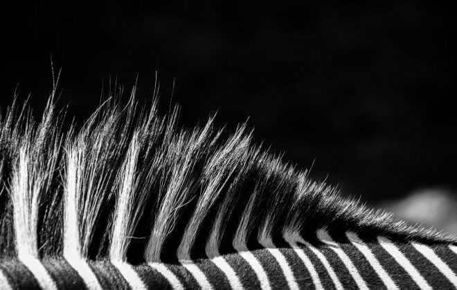 Juventus owner rejects acquisition offer from Tether