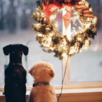 Links 12/23/2025 | naked capitalism