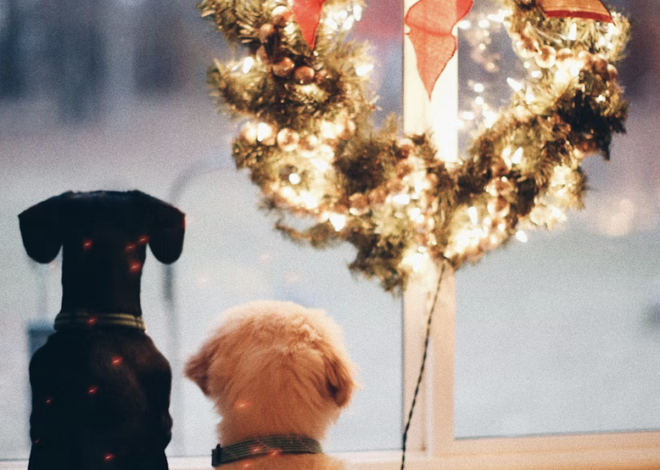 Links 12/23/2025 | naked capitalism