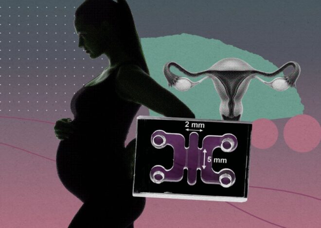 The Download: Mimicking pregnancy’s first moments in a lab, and AI parameters explained