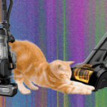 The Best Vacuum for Pet Hair—We Tested Many to Find Which Ones Work Best (2026)