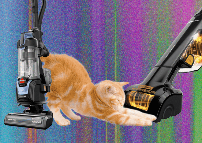 The Best Vacuum for Pet Hair—We Tested Many to Find Which Ones Work Best (2026)