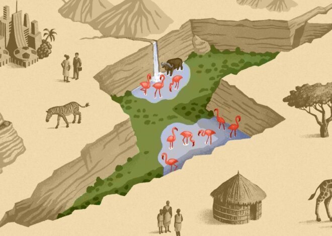 Welcome to Kenya’s Great Carbon Valley: a bold new gamble to fight climate change