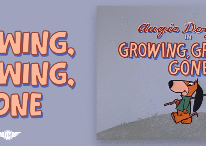 What’s !important #2: Conditional View Transitions, CSS/SVG Text Effects, the Best of CSS Bluesky, and More