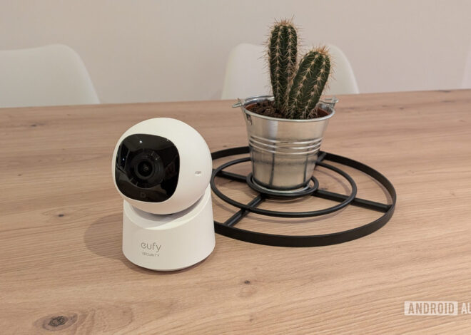 Worth every penny: The best tech purchases I made in 2025