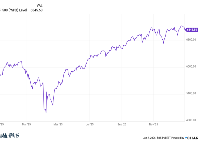 2025 Investing Lessons – A Wealth of Common Sense