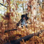 Billy Woods’ Golliwog is a horrorcore masterpiece for the A24 crowd