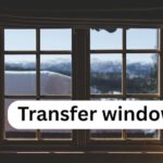 The anatomy of a platform transfer