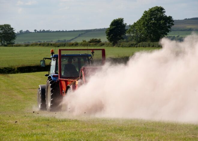 Google and Microsoft-backed Terradot acquires carbon removal competitor