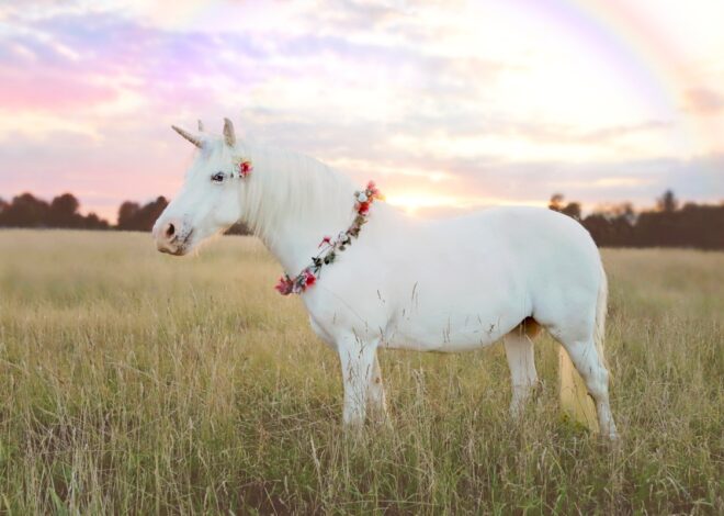 Meet the new European unicorns of 2026