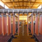 The Download: Squeezing more metal out of aging mines, and AI’s truth crisis