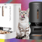 These 10 Automatic Cat Feeders Were the Best We Tested (2026)