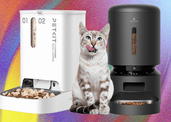 These 10 Automatic Cat Feeders Were the Best We Tested (2026)